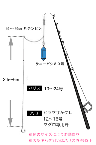 庄三郎丸 仕掛け図